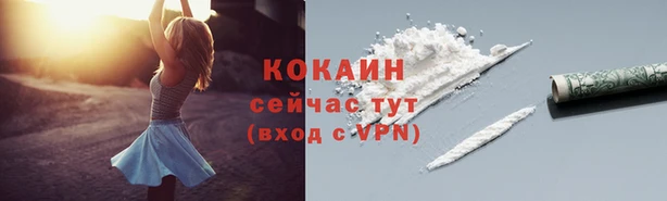 дмт Верея