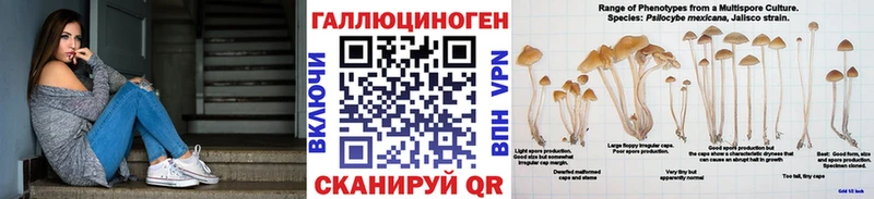 Псилоцибиновые грибы Cubensis  Можайск 