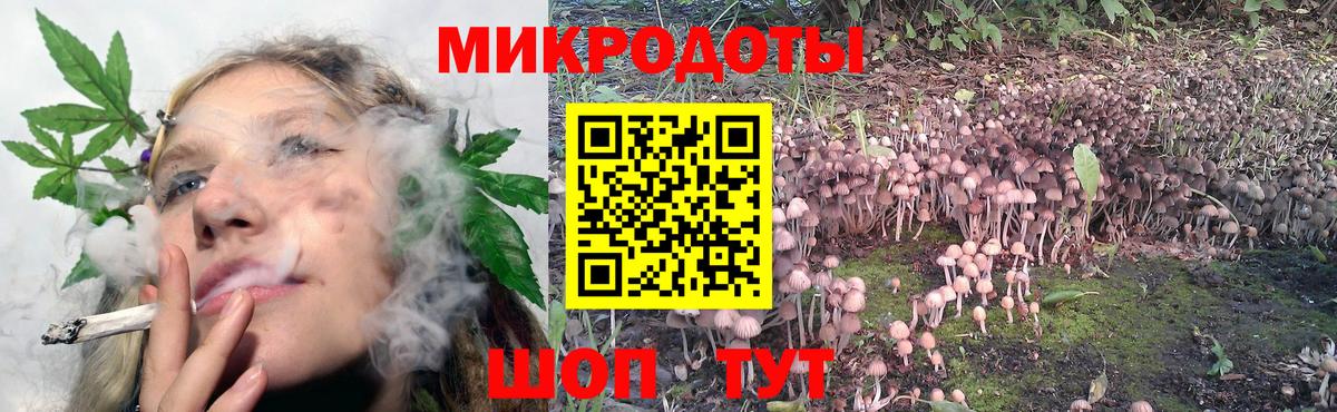 Галлюциногенные грибы Magic Shrooms Можайск